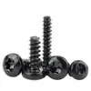 Tornillo Autorroscante de Acero Inoxidable 304 Cabeza Plana Phillips Cola Plana Gb2670.1 Tornillo Semi-Redondo Negro Cola Cortada