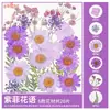Paquete de Materiales DIY de Flores Secas Flores Prensadas Hechas a Mano Flores Conservadas Marcadores de Libros de Flores Prensadas Hojas de Árbol Real Plantas Pegatinas de Resina Maquillaje Facial