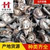 Augustza 1000 Gramas de Medicina Chinesa Huamei, Materiais Medicinais Chineses Atacado em Estoque, Augustza Produtos Novos, Grande Quantidade, Tratamento Preferencial