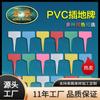 Jinnong etiqueta de jardinería de plástico PVC inserto etiqueta de flor letrero de flor planta verde etiqueta carnosa Orquídea