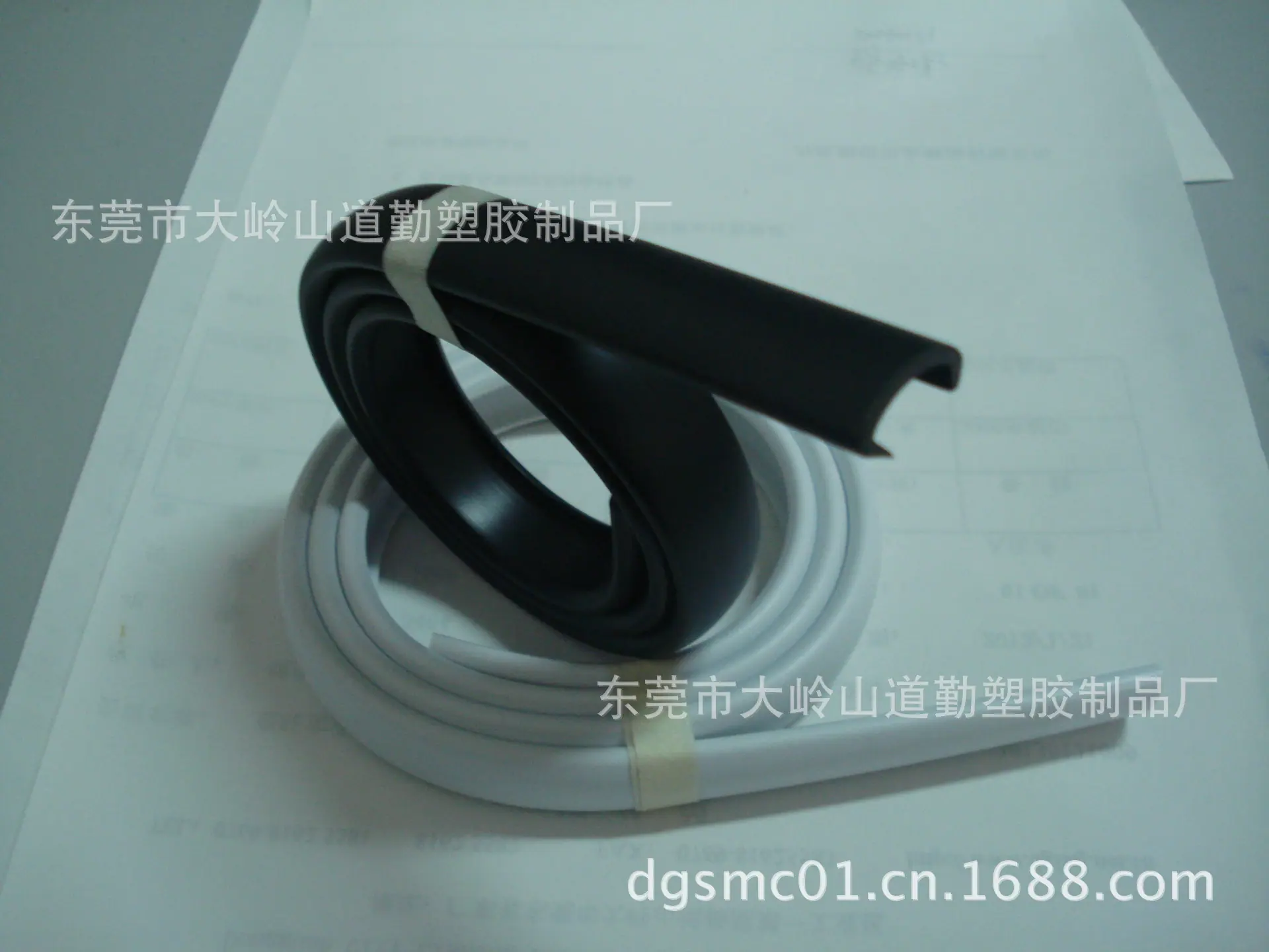 DSC04561