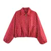 AliExpress Mais Vendido Atacado Transfronteiriço Moda Casual Versátil Europeia e Americana Feminina Jaqueta Casaco Acolchoado com Zíper