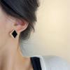 Exquisitos pendientes de diamantes negros para mujer, nuevos pendientes de estilo frío, diseño de nicho, luz explosiva, pendientes de lujo de alta gama.