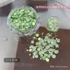 Decoraciones para Uñas con Brillo Ojo de Gato Populares Transfronterizas, Pegatinas de Uñas con Brillo Iridescente de Colores, Materiales DIY, Accesorios para Uñas Portátiles