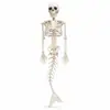 Bestseller transfronterizo esqueleto de pez de Halloween 70CM calavera de hueso de sirena realista accesorio para ambiente de evento y decoración de escena