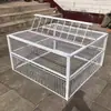 Jaula Exterior para Palomas con Puerta Automática, Jaula de Hierro con Entrada y Salida Unidireccional, Techo con Puerta a Prueba de Saltos
