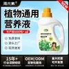 Solução Nutricional para Plantas Expert, Universal para Plantas em Vasos, Flores, Plantas Verdes, Hera Verde, Árvore da Fortuna, Fertilizante para Flores de Casa