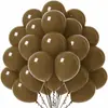 Balões de Aniversário Amazon 10 polegadas Conjunto de Balões de Cor Sólida Balões para Decoração de Feriado Balões Metálicos Foscos Maca