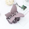 Nuevo Pinza de Mariposa Helada, Exquisito Accesorio para el Cabello de Cola de Caballo Semi-Recogida, Pinza para el Cabello con Forma de Garra Personalizada y Moderna para Mujeres