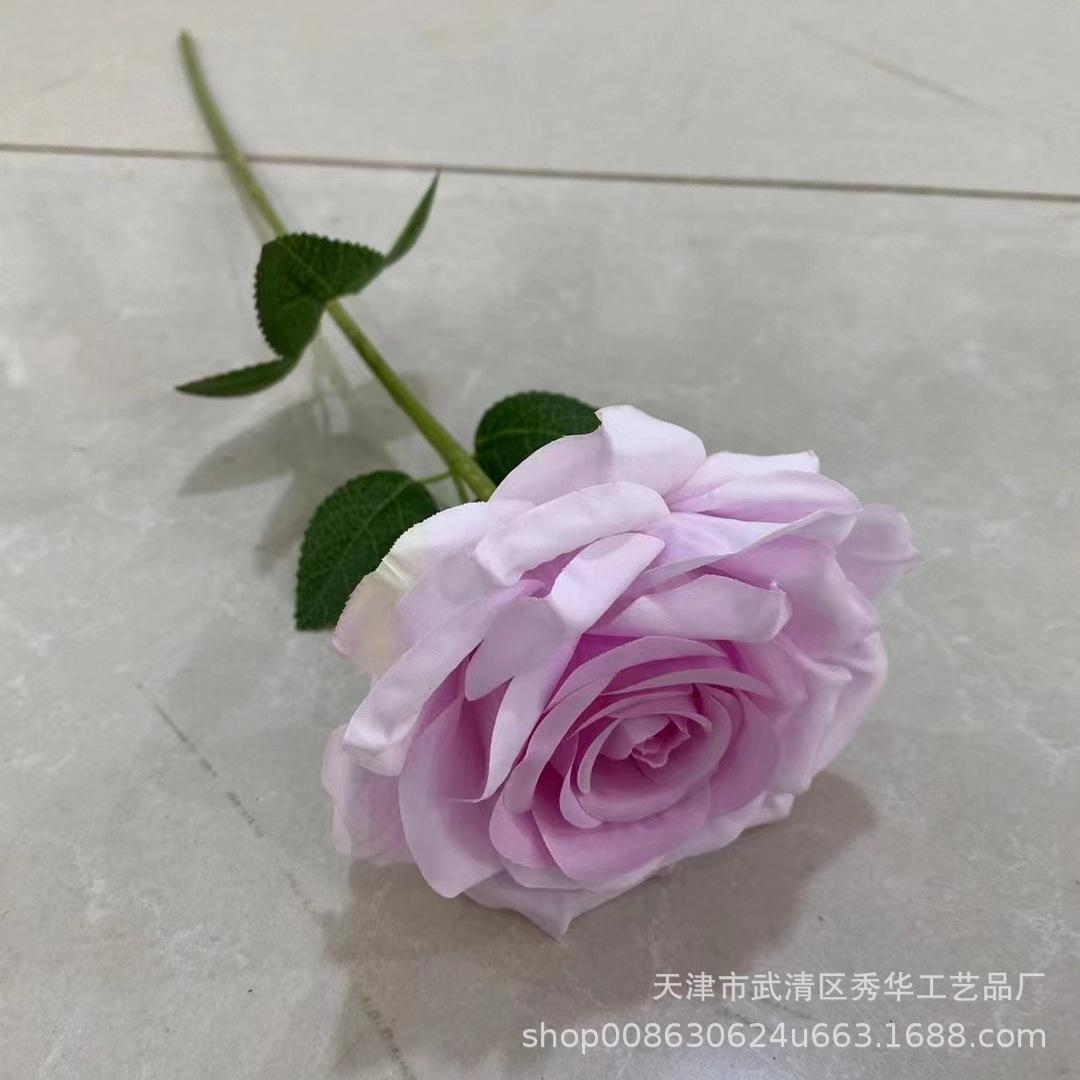单支玫瑰紫色