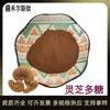 Extrato de Ganoderma Lucidum 30/50% Polissacarídeo Extrato Natural Matéria-prima Polissacarídeo de Ganoderma Lucidum para Produtos de Saúde e Cosméticos
