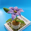 Planta de lirio de lana tejida a ganchillo con hilo Xuefei hecha a mano en maceta adornos decorativos de escritorio flor de la eternidad venta al por mayor comercio exterior