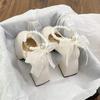 Sapatos Mary Jane Estilo Fada Pérola Boca Rasa Francesa Primavera 2025 Salto Grosso Fivela Salto Alto