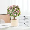 Pirulitos Galhos Dourados e Folhas de Jade Suculenta Dalaozhuang em Vaso Sala de Estar Interna Florais Plantas Verdes Florindo Fácil de Manter para Pessoas Preguiçosas