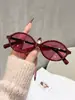 Óculos de Sol Cat-Eye com Armação Oval para Mulheres, Estilo Transfronteiriço de Alta Qualidade, Versátil para Dirigir e Fotografia, Também Adequado para Homens