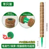 Soporte para Planta Monstera, Soporte de Rábano Verde para Plantas Trepadoras, Poste Fijo de Fibra de Coco y Palma, Pilar de Palma para Trepar Plantas