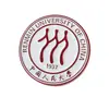 Insignias Metálicas Escolares Personalizadas de Alta Gama para Profesores y Estudiantes Universitarios, Insignias Metálicas Esmaltadas en Relieve, Insignias de Pecho Personalizadas