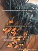 *German Lumberg Rsu 12-Asb 8/Led 5-4-331/10m
