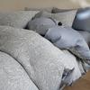 Juego de Cama de Hilo de Algodón de Alta Gama de Tres Capas de Cuatro Piezas 2025 Algodón Puro Lujo Accesible Jacquard Funda Nórdica Sábanas Ropa de Cama Juego de Tres Piezas