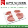 Venta al por mayor de fábrica Módulo de sutura de diente artificial con base, Herramientas para estudiantes de odontología, Modelo de dentadura postiza, Comercio exterior transfronterizo