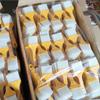 Cepillo de Cerdas con Mango de Plástico, Cepillo Limpiador de Teclado, Pincel para Salsa para Mojar, Pincel para Mojar Alimentos, Cepillo Pequeño Desechable