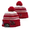 2026 Nuevo Gorro de Punto con Pompón de Color Mixto al por Mayor, Gorro de Lana de Equipo de Rugby, Jacquard de Doble Cara, Estilo Retro Artístico