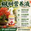 Fertilizante para Arce Fertilizante para Arce Rojo Fertilizante para Arce Liuchuan Solución Nutritiva para Arce Dorado Bonsái Necrosis en la Punta de las Hojas Fertilizante para la Superficie de las Hojas