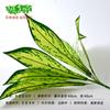 Plantas Artificiales, Macetas Verdes, Jardineras, Hojas Falsas Decorativas, Ramilletes Pequeños de 9 Ramas, Muros Verdes, Flores Falsas, Materiales de Jardinería