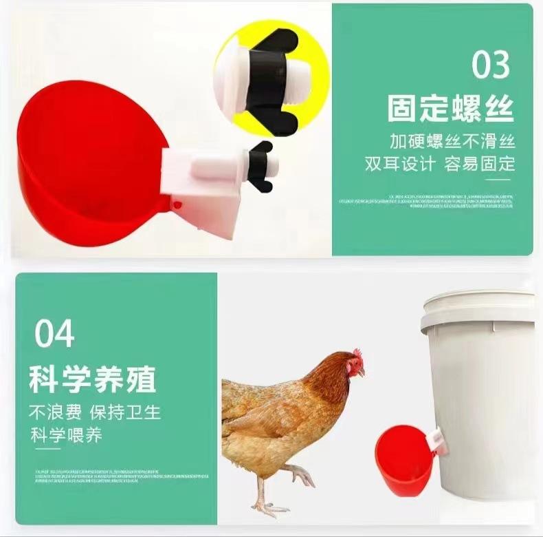 详情页 (15).jpg