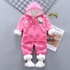 Conjunto de ropa de otoño e invierno para niños y niñas de 0 a 5 años, de seda de leche, con relleno de terciopelo, informal, para bebés y hombres, dos piezas, 2