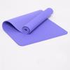 Tapete de Yoga Antiderrapante Alargado e Longo para Homens e Mulheres Tapete de Yoga TPE Gayon Fitness Tapete Esportivo Personalizado Cobertor de Dança