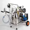 Extractor de Leche Nuevo Modelo con Bomba Integrada, Extractor de Leche Eléctrico Portátil para el Hogar con Transmisión por Correa Dividida