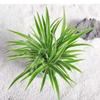 Clorofito Peonía con Capullos Planta Colgante en Maceta Planta de Interior Balcón Florece en Todas las Estaciones para Purificar el Aire y Absorber Formaldehído Plantas Verdes