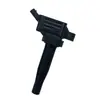 Adecuado para Hyundai Kia K4K5KX51.6T paquete de bobina de encendido de alto voltaje 273012B150