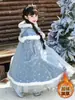 Vestido Princesa Elsa para Meninas, Vestido de Renda Frozen, Vestido Azul de Manga Longa, Vestido de Aniversário Estilo Sonhador