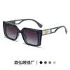 Nueva Moda D Hogar Gafas de Sol de Gama Alta para Mujer Marco Grande Delgado Lisas Versátiles Mismo Estilo que Celebridad de Internet Gafas de Sol Elegantes Modernas