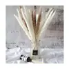 Buquê de Limpeza com Flores Secas e Juncos Flores Reais Secas Decoração de Casa Pousada Pequeno Escandinavo Transfronteiriço Buquê Seco