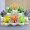 Bonsái Creativo de Suculentas Artificiales Lirio de Calas Artificiales Gipsofila Flor Falsa Pequeña Maceta Mini Adornos de Flores Artificiales de Escritorio