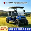 Carro de golf eléctrico para transporte de pasajeros en aeropuertos y parques de atracciones, vehículo de recepción turística en áreas escénicas, coche turístico de 4 plazas