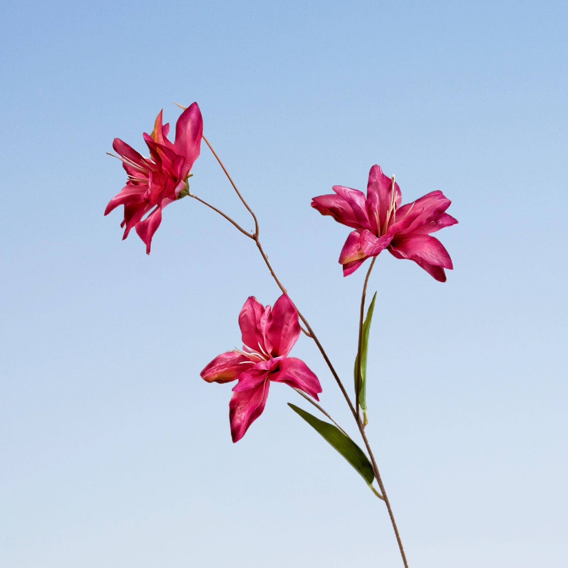 微信图片_20230311211951