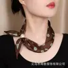 Novo lenço profissional elegante estilo francês com fecho magnético, não precisa de nó, para um look de luxo leve com um toque de alta qualidade quando combinado com um terno.
