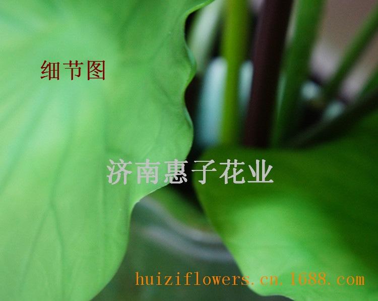 DSC02961_副本