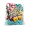 Flores Secas, Flores Preservadas, Espécimes de Flores Reais, Gipsofila (Mosquitinho), Flores Prensadas para Diário, Decoração Artesanal DIY, Acessórios para Porta-Retratos, Materiais