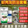 Pacote de Controle de Insetos para Suculentas, Árvores da Fortuna, Flores e Plantas Verdes: Mosca Branca, Ácaros Vermelhos, Pulgões e Controle Geral de Insetos