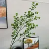 2026 Nuevo Modelo Plantas Verdes Artificiales Hierba de Espárrago Asparagus Asparaginea Decoración de Boda Flores Falsas Verdes Paisajismo Fotografía Plantas Verdes Estilo Bosque