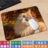 [Una generación de cabello] pequeño lindo gato tela antideslizante tapete para computadora arte estético simple borde bloqueado alfombrilla de ratón