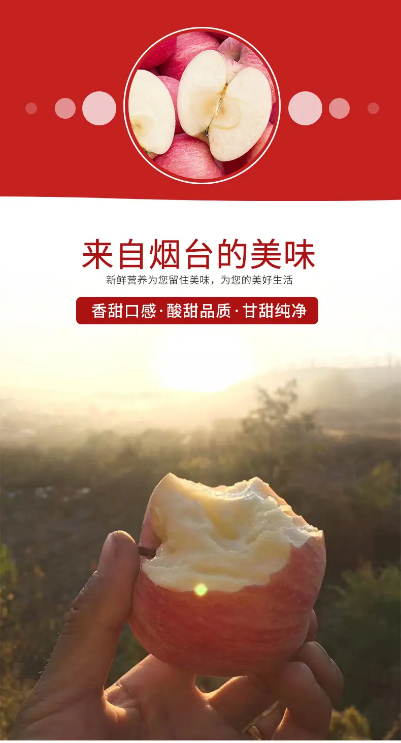 6(1)_04.jpg
