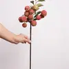Galhos de Lichia Artificial de Alta Qualidade com Significado Inspirador, Adequados para Arte de Arranjo Floral, Estilo Pastoral, Decoração de Sala de Estar e Janela
