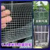 Malla de alambre galvanizada por inmersión en caliente, agujero pequeño, encriptación, anti-rata, malla de hierro, protección de balcón, jaula para palomas, pájaros, conejos, red de cría exterior