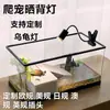Foco Reptil Mascota Lámpara de Calentamiento Uva Calentamiento Aislamiento Lámpara Solar Bombilla Tortuga Mascota Tortuga Uvb Lámpara de Día Mascota